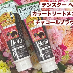 テンスター ヘナ カラートリートメント6c チャコールブラウン 2本