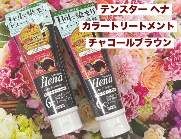 テンスター ヘナ カラートリートメント6c チャコールブラウン 2本