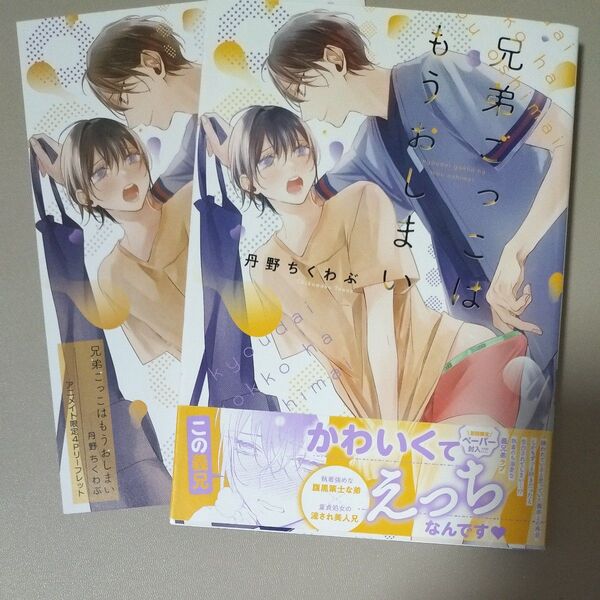 兄弟ごっこはもうおしまい/丹野ちくわぶ
