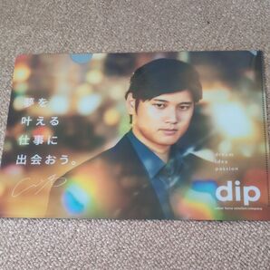 大谷翔平ファイル