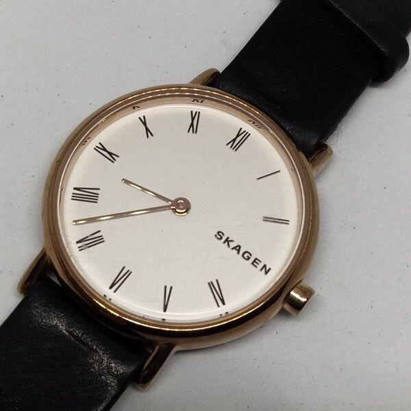 【稼働品】 SKAGEN スカーゲン レディース腕時計 m10