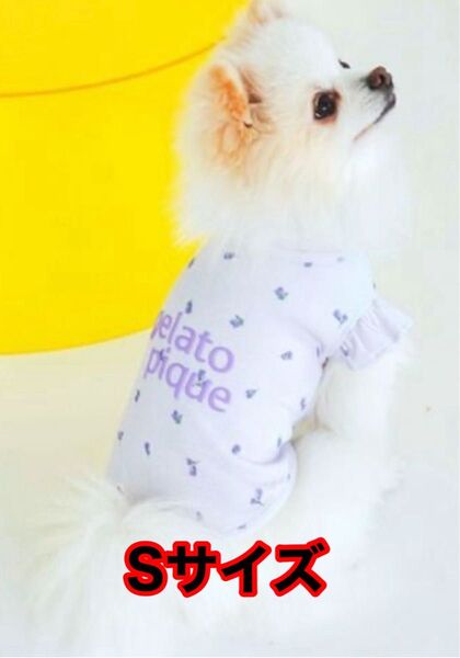 【Sサイズ ラベンダー】ジェラートピケ 小花柄COOLプルオーバー 犬服 ワンコ