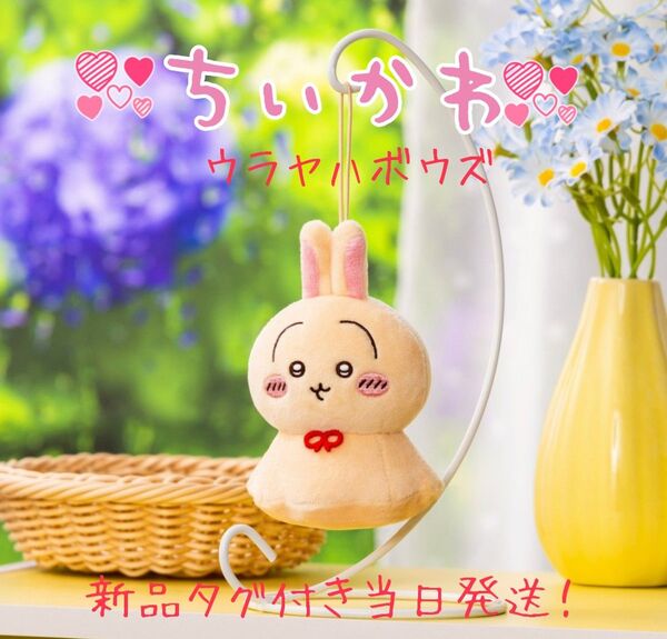 ちいかわ ウラヤハボウズ うさぎ マスコット ぬいぐるみ
