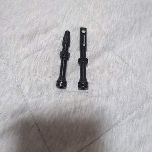パナレーサーチューブレスバルブ44ミリ