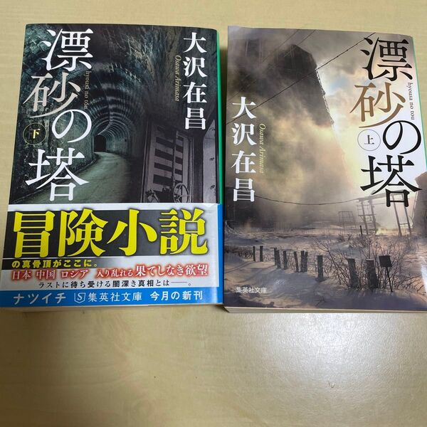 漂砂の塔 上・下 (集英社文庫 お9-15・16) 大沢在昌/著