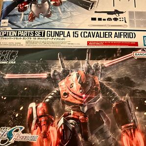 HG ズゴッグSEED FREEDOMver. キャバリアーアイフリッド
