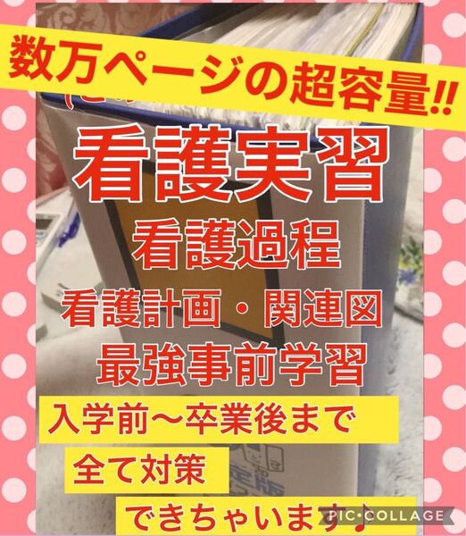 看護実習 看護学生 手順書 関連図 看護計画 看護師 看護大学 看護専門学校 実習記録 実習資料 事前学習 アセスメント 国家試験