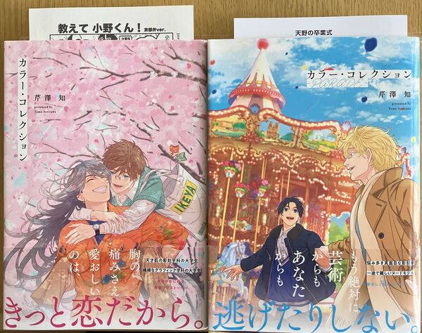 カラーコレクション ―PARADE― 芹澤知 シリーズ2冊セット ペーパー付き