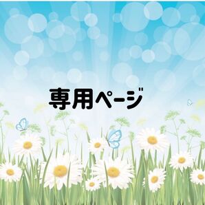 専用 写真2、3枚目
