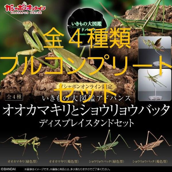 いきもの大図鑑アドバンス オオカマキリとショウリョウバッタ オンライン版 後羽付き 翅 台座 フルコンプ ディスプレスタンドセット