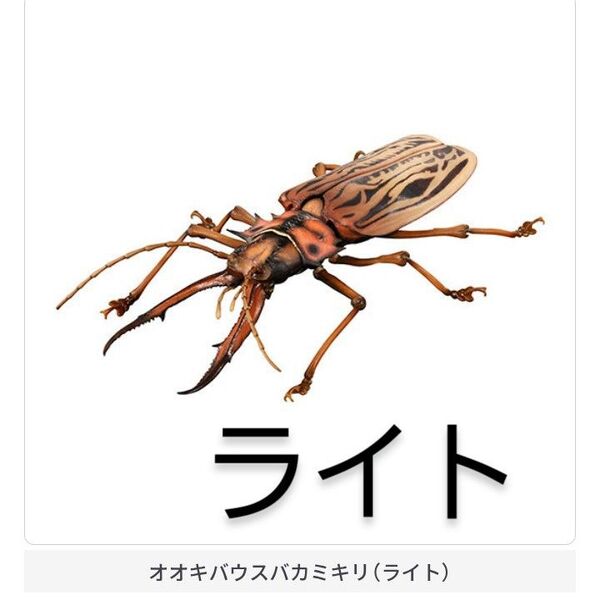 オオキバウスバカミキリ ライト オオキバウスバカミキリとハンミョウ いきもの大図鑑アドバンス ガチャ ガシャポン