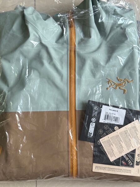ARC'TERYX BEAMS Exclusive Beta Jacket Lサイズ アークテリクス ベータジャケット