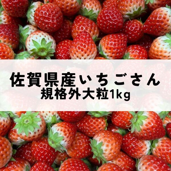 規格外大粒1kg