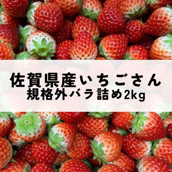 佐賀県産いちごさん 規格外2kg