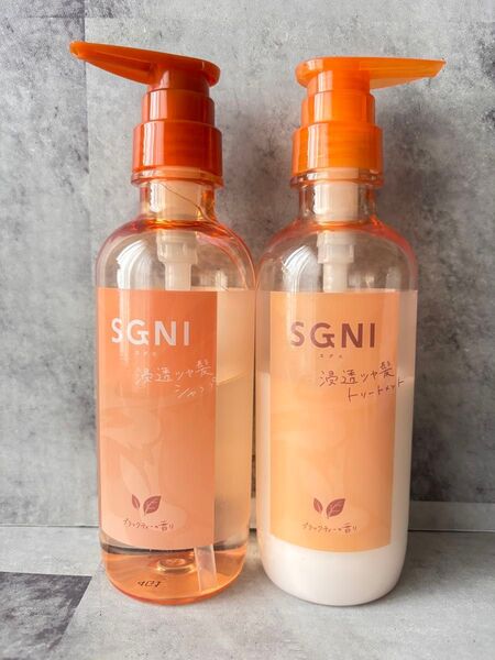 SGNI 浸透ツヤ髪シャンプー&トリートメント