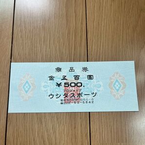 豊橋市プロショップウシダスポーツ商品500円前田南町2-12-11 0532-53-5642