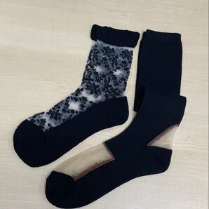 シースルーソックス 2点セット 女性用靴下 レディースソックス