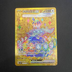ポケモンカード テラパゴスex UR