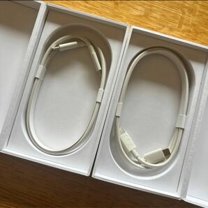 充電用ケーブル2本セット タイプC×タイプC ILUMA純正 USB Type-C 充電ケーブル アイコスiPhone USB-C