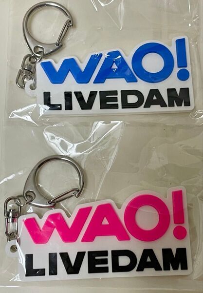 【非売品】LIVE DAM WAO! ラバーキーホルダー ピンク・ブルー 2セット