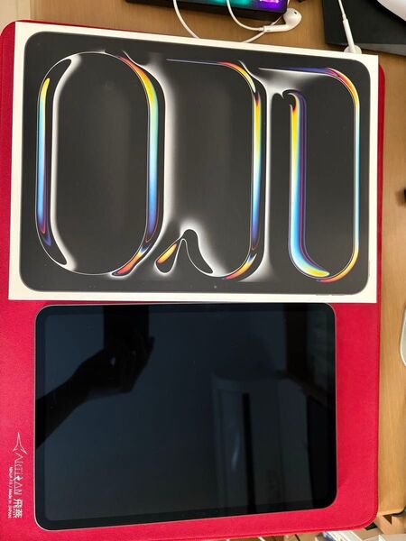 iPad pro 11インチ m4 第5世代 256GB wifi