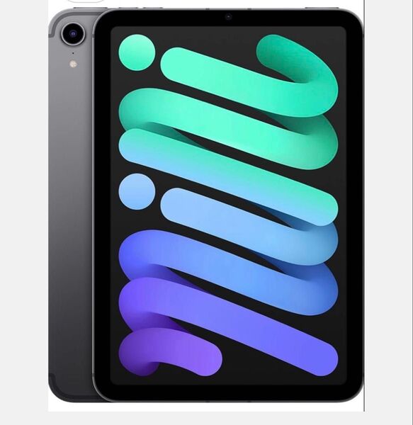 【限定大特価】iPad mini 6 Wi-Fi 256GB - スペースグレイ