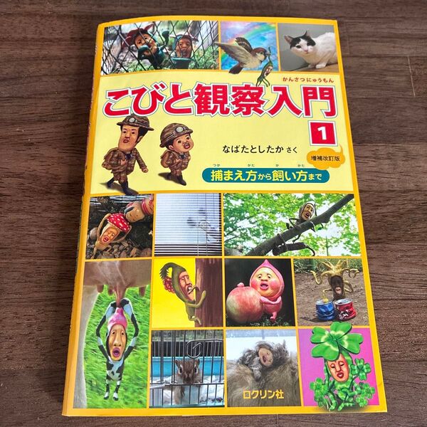 こびと観察入門 絵本 こびと大百科 こびと図鑑