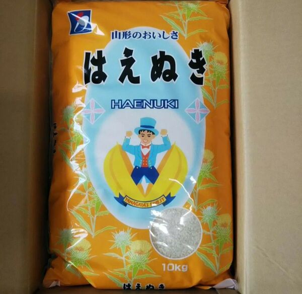 お米 10kg はえぬき