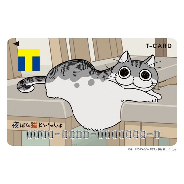 限定 Tポイントカード Tカード 夜は猫といっしょ キュルガ デザイン