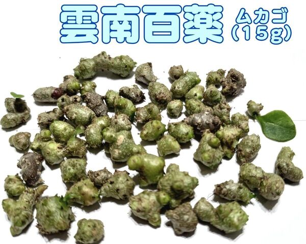 栽培用 雲南百薬 オカワカメ ムカゴ 小サイズ 約15g