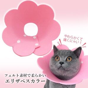 エリザベスカラー 猫 犬 ペット用品 傷口保護 傷舐め防止 引っ掻き防止 L