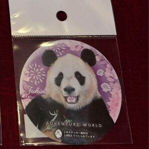 アドベンチャーワールド パンダ ステッカー シール 新品 未使用 和歌山 楓浜