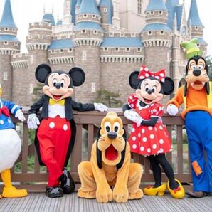 ディズニーチケット