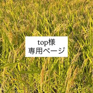 top様専用ページ ひとめぼれ 精米 10キロ