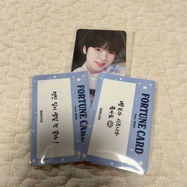 NCT WISH school of wish トレカ サクヤ 3枚セット