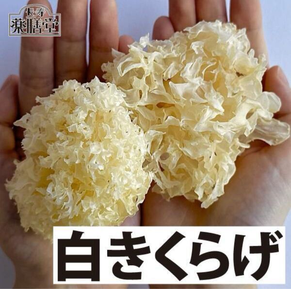白キクラゲ コリシャキ食感が癖になる!乾燥を気になる方に!