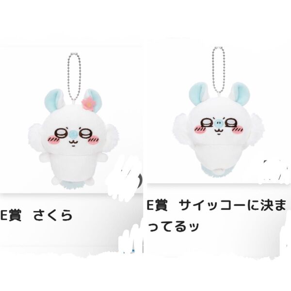 ちいかわ 褒めろッ モモンガだらけくじ E賞 2点セット ちいかわ ぬいぐるみ マスコット