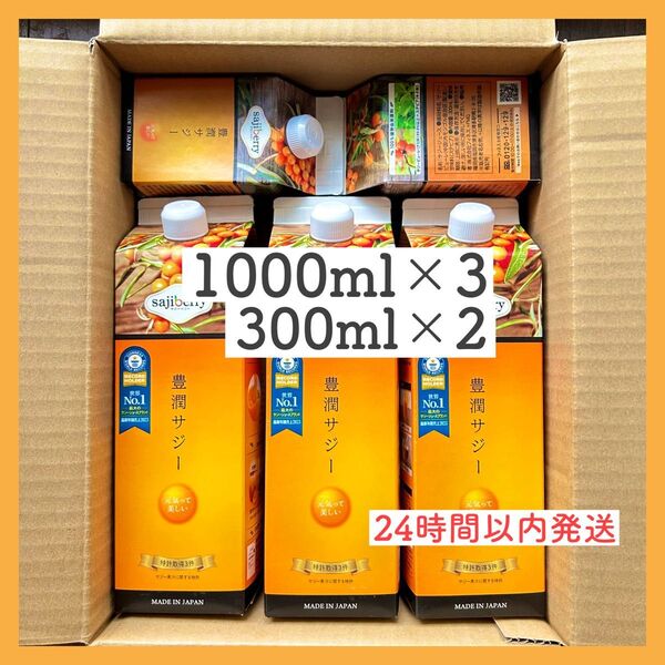【フィネス 豊潤サジー】1000ml×3本 300ml×2本セット 24時間以内発送
