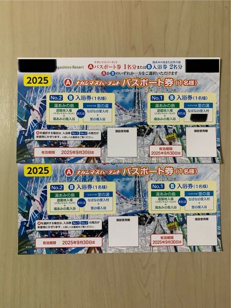 ナガシマスパーランド パスポート券 2枚