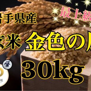 お米 玄米【岩手県産玄米金色の風30kg】岩手の最上級米!!感動の食味♪甘くてモチモチ♪当店のオススメNO1♪