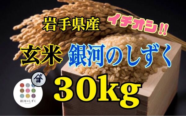 お米 玄米 【令和6年産岩手県産玄米銀河のしずく30kg 】 7年連続特A評価を獲得しました!白くて艶やか♪