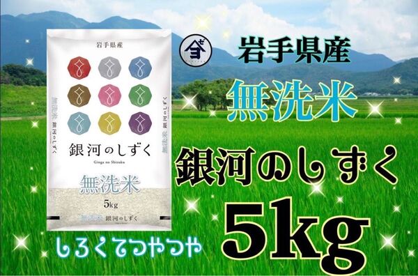 お米 精米 【令和6年産岩手県産無洗米銀河のしずく5kg 】(5kg×1) 7年連続特A評価を獲得しました!白くて艶やか♪