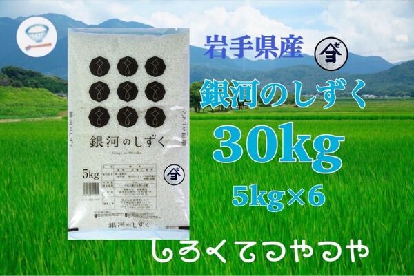 お米 精米 【令和6年産岩手県産銀河のしずく30kg 】(5kg×6) 7年連続特A評価を獲得しました!白くて艶やか♪
