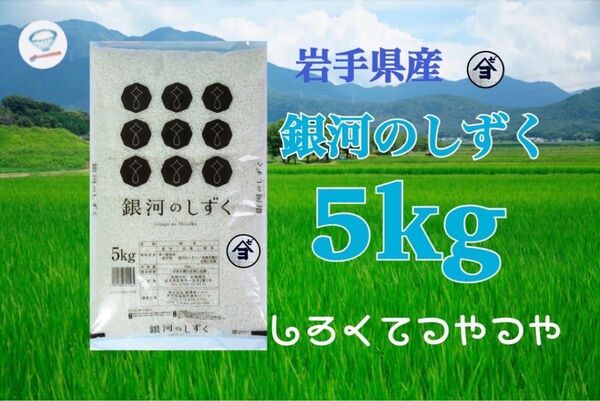 お米 精米 【令和6年産岩手県産銀河のしずく5kg 】(5kg×1) 7年連続特A評価を獲得しました!白くて艶やか♪