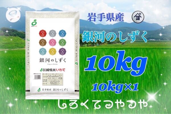 お米 精米 【令和6年産岩手県産銀河のしずく10kg 】(10kg×1) 7年連続特A評価を獲得しました!白くて艶やか♪