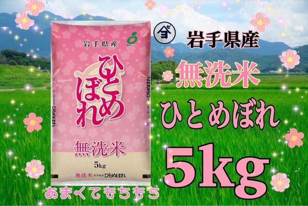 お米 精米【令和6年産岩手県産無洗米ひとめぼれ5kg】(5kg×1) もちもち柔らか♪岩手の代表品種でございます♪