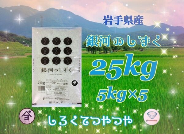 お米 精米 【令和6年産岩手県産銀河のしずく25kg 】(5kg×5) 7年連続特A評価を獲得しました!白くて艶やか♪
