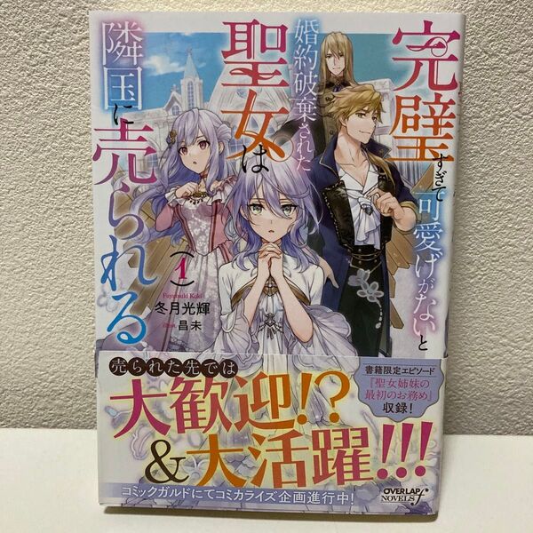 完璧すぎて可愛げがないと婚約破棄された聖女は隣国に売られる 1巻 小説版 アニメ放送中!
