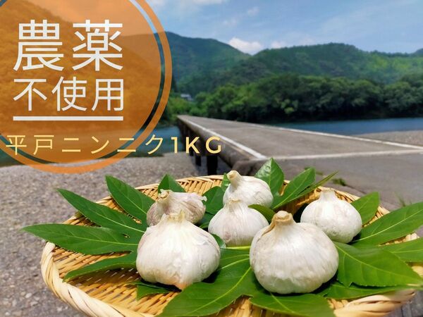 農薬未使用 平戸ニンニク 1kg 暖地系ニンニク