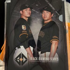 【非売品】読売ジャイアンツ 坂本勇人 長野久義 クリアファイル
